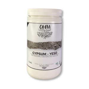 Gypsum - Yeso