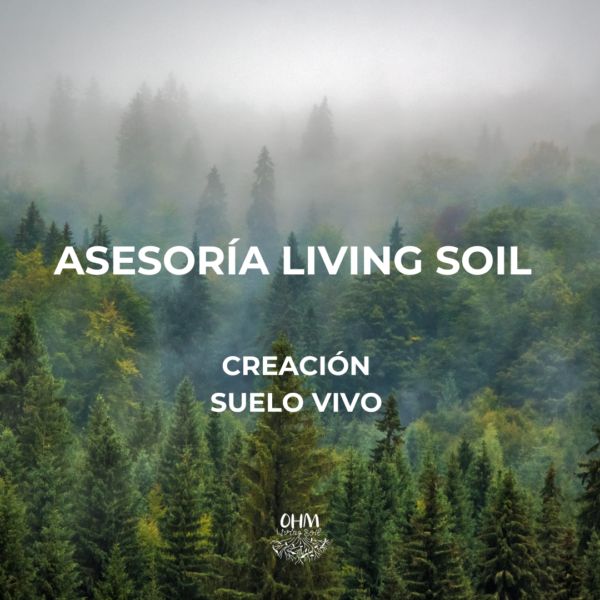 Asesoría Living Soil | creación suelo vivo