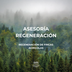 Asesoría Regeneración